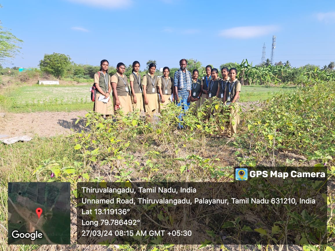 RAWE Programme