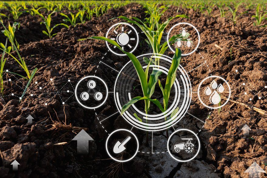 Internship Programme